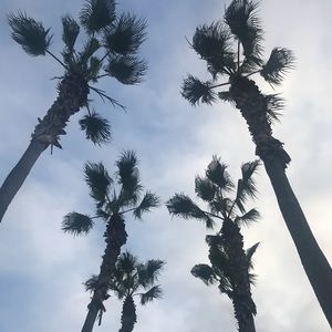 Meet your Posher, Eve